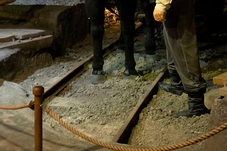 Krakow: Private City Tour & Wieliczka Salt Mine Visit Krakow: City Tour & Wieliczka Salt Mine Visit(Group)