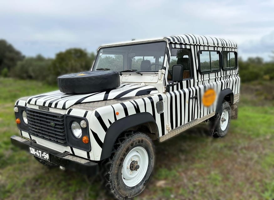 White jeep with black zebra stripes parked on a grassy field under a cloudy sky