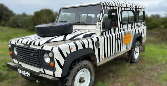White jeep with black zebra stripes parked on a grassy field under a cloudy sky