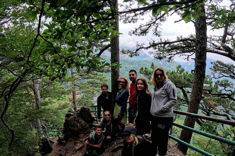 From Sarajevo: Trnovačko Lake Guided Hike with Transfer