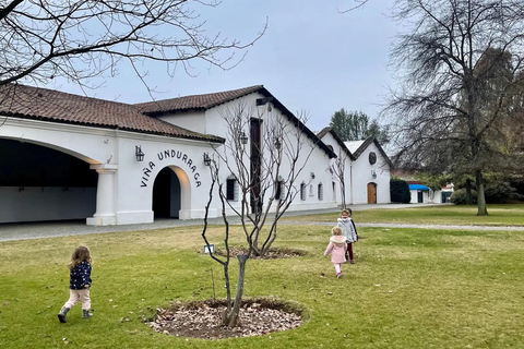 From Santiago: Undurraga Winery Tour & Wine Tasting