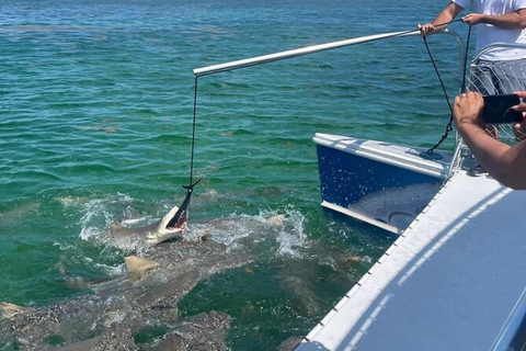 Key West: Catamaran tour om haaien en wilde dieren te bekijken