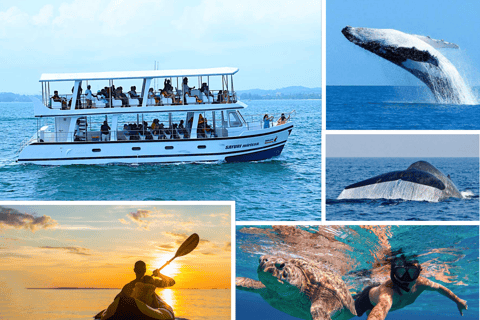 Mirissa: Whale Watching, Turtle Snorkeling, & Kayaking Tour