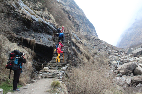 Från Kathmandu: 14 dagars Poon Hill &amp; Annapurna Base Camp Trek