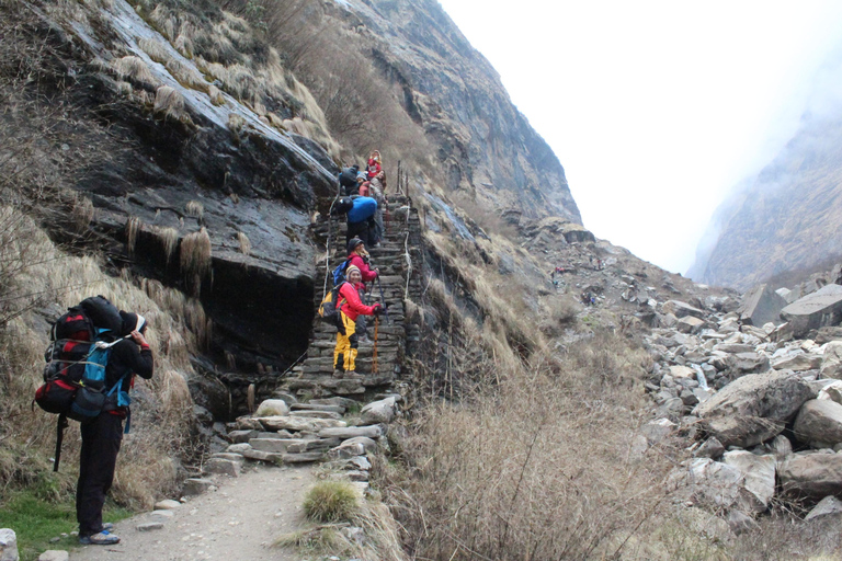 Från Kathmandu: 14 dagars Poon Hill &amp; Annapurna Base Camp Trek