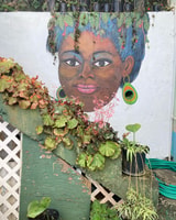 Ahhh Ras Natango Gallery and Garden with Transportation - Housity