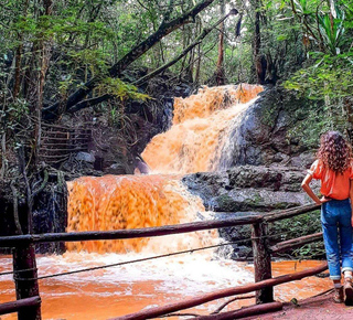 Karura Forest: Tours en rondleidingen