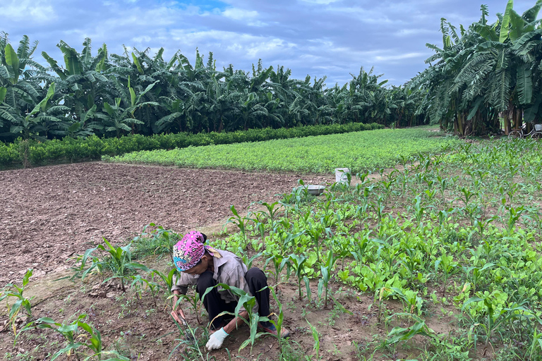 Hanoi: City Highlights Guided Tour by Vintage Jeep Private Jeep Tour >= 4pax