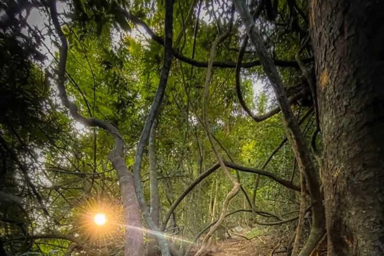 Kandy: Hidden Cave Temple Forest Hike & Lake View Summit