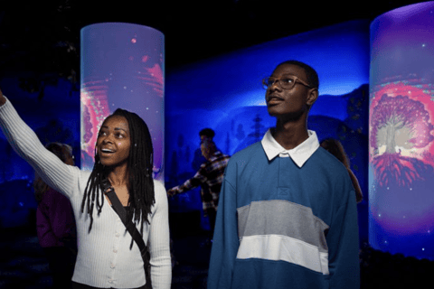 Niagara Falls, Canada: 'Niagara Takes Flight' 4D Experience