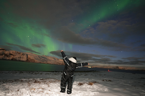 Jage dem Zauber der Nordlichter in Tromsø Norwegen nach