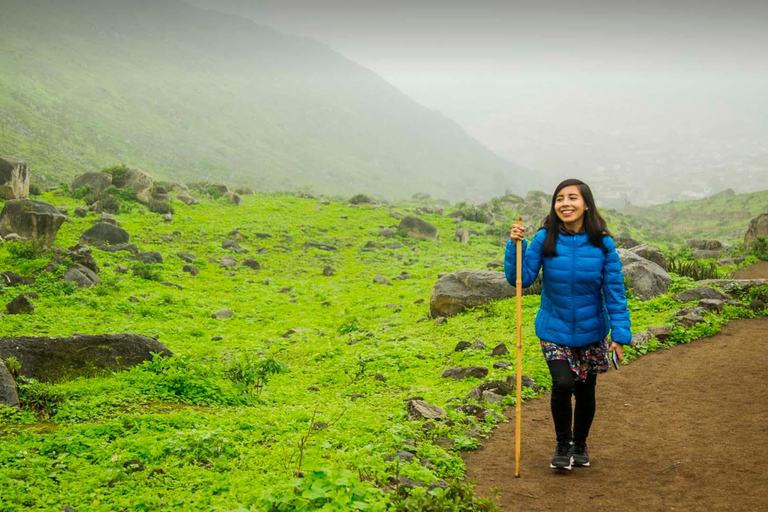 From Lima: Nature Excursion