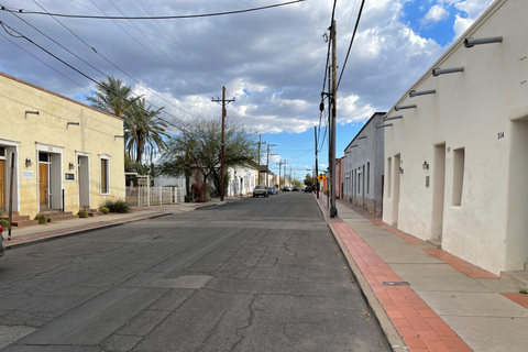 Barrio Viejo Tucson Walking Tour & Scott Avenue with Guide