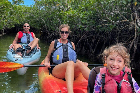 Explore Private Mangrove Kayak Adventure with Village Tour TRANSEER AND ENTRANCE FEE ALL ARE INCLUDED