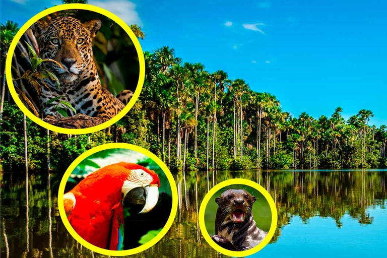 Excursión a Tambopata: Aventura amazónica 3D/2N