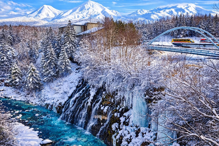 Sapporo 2-Month Special:Asahiyama Zoo & Snowy Landmarks Tour 8:10 am meet at JR Sapporo Station North exit