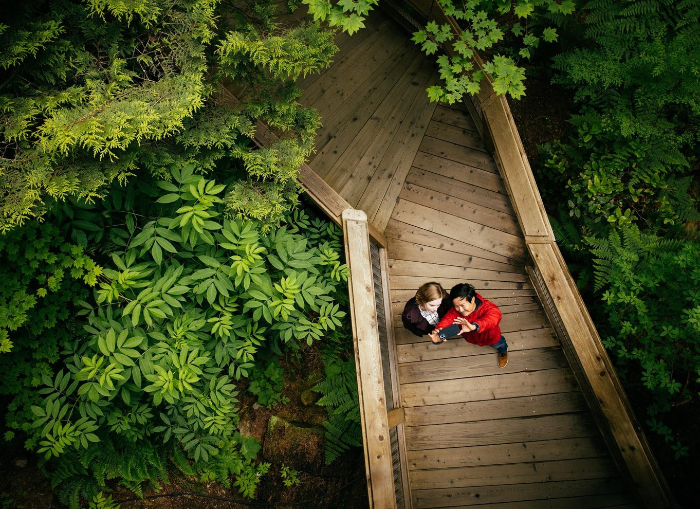 Vancouver: Capilano Suspension Bridge Park billet
