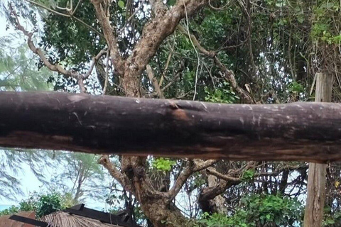 ZANZIBAR: Spice Farm Tour + Lunch & Prison Island Boat Trip