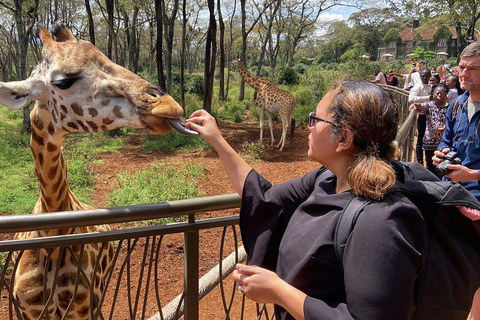 Nairobi: National Park, Baby Elephant, & Giraffe Center Tour