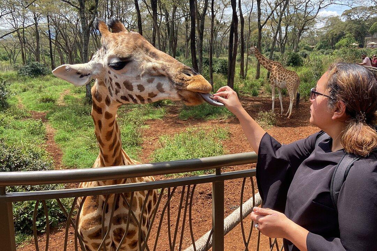 Nairobi: National Park, Baby Elephant, & Giraffe Center Tour