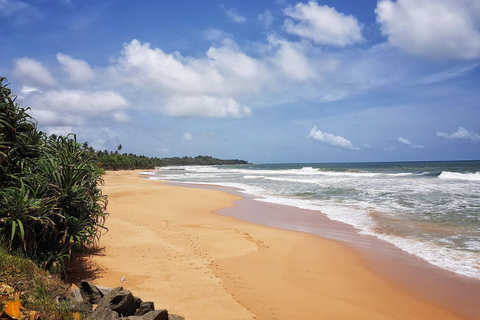 From Colombo: Bentota Day Tour with Madu River Safari