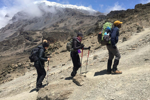 Besteigung des Kilimandscharo über die Lemosho-Route