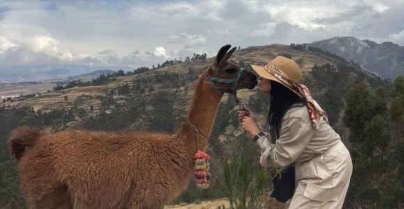 Sacred Valley: Alpaca Hike in Chinchero and Picnic