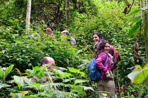 Zanzibar Discovery: Jozani Forest & Spice Farm Tour