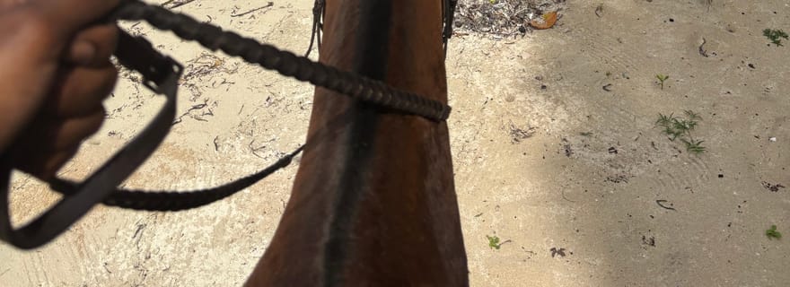 Portland, Jamaïque : excursion à cheval