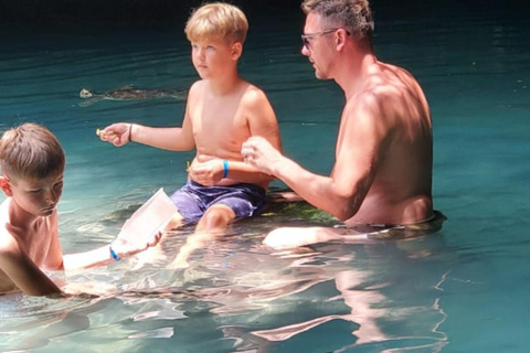 桑给巴尔：监狱岛、纳库彭达沙滩和萨拉姆海龟游泳私人观光（含接送服务）