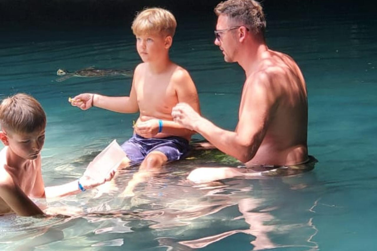 桑给巴尔：监狱岛、纳库彭达沙滩和萨拉姆海龟游泳私人观光（含接送服务）