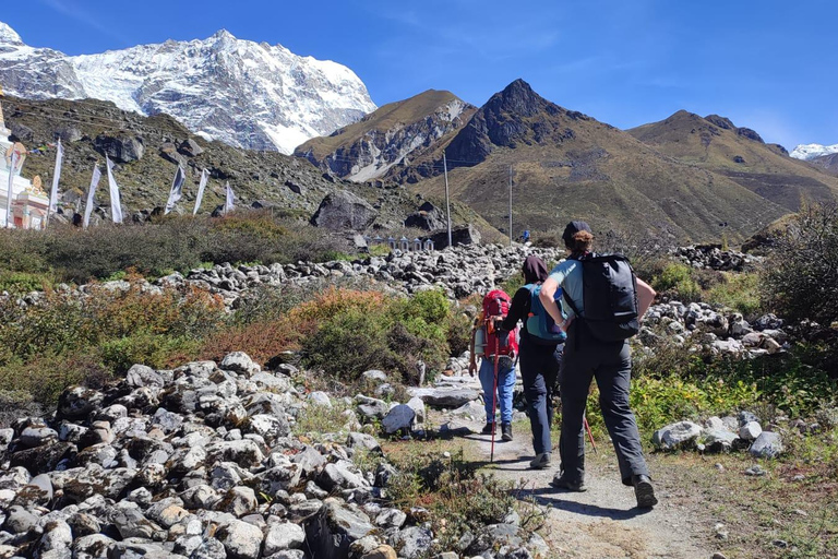 Kathmandu: Langtang Valley Trek 8-Days Guided Trek