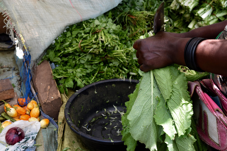 Mto wa Mbu: Waterfall, Maasai Boma, Village, & Balaa Hill Mto wa Mbu Tour & Canoe Ride on Lake Manyara