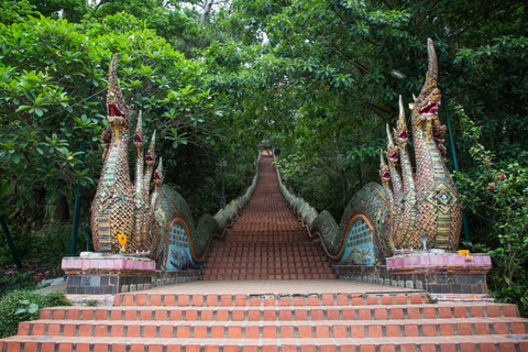 Chiang Mai: Monk's Trail Hike, Wat Pha Lat & Doi Suthep Tour Small Group Tour