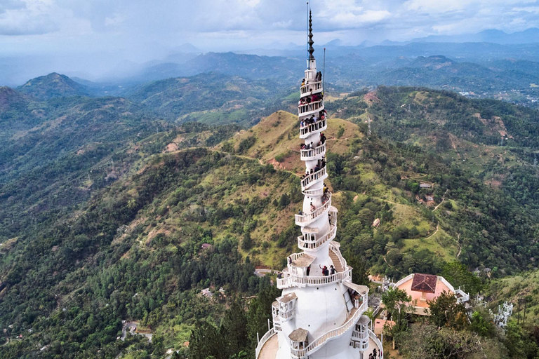Ambewela to Kandy Scenic Highlands Tour via Nuwara Eliya