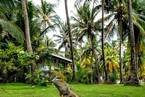 SAN ANDRES: BOAT TRANSFER + JOHNNY CAY + JOHNNY CAY SAN ANDRES: BOAT TRANSFER + JOHNNY CAY