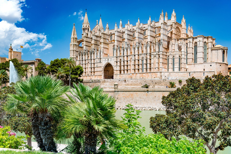Palma de Mallorca: Valldemossa & Cathedral Shore Excursion
