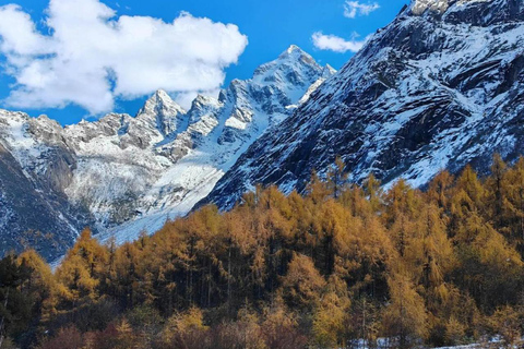 Sichuan: Bipeng Valley Ticket