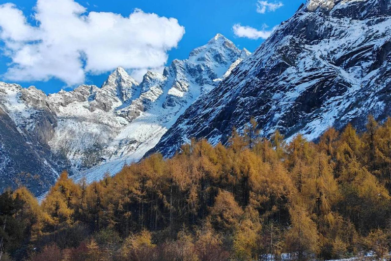 Sichuan: Bipeng Valley Ticket