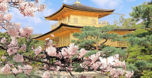 Kyoto: Kinkaku-ji (Golden Pavilion) – Guided Cultural Tour in French