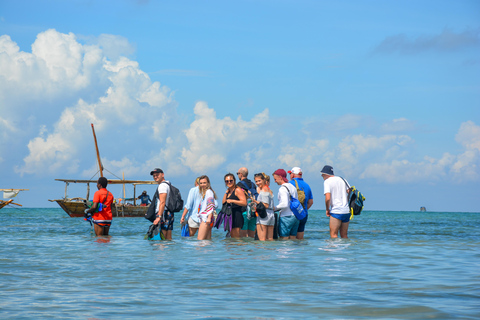 Nungwi/Kendwa: Mnemba Island Dolphin &amp; Snorkeling Tour en barcoTraslado desde Kendwa o desde Nungwi