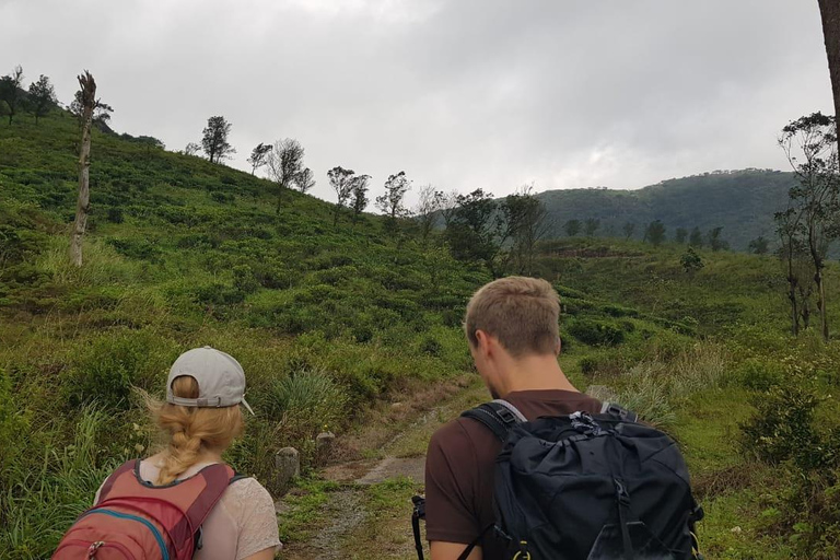 纳克尔斯峰探险和希洛亚村露营 2 日游