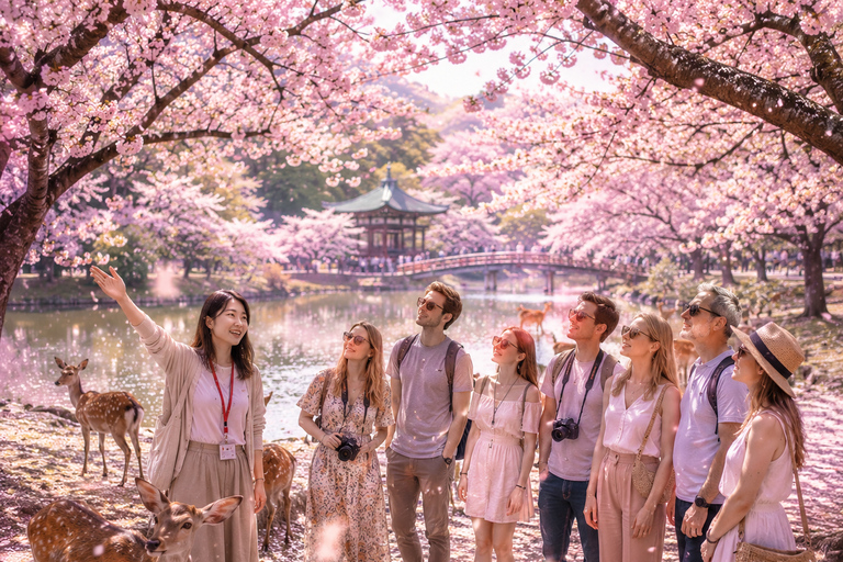 Nara Park: Deer & Healing Forest Guided Tour with Stories