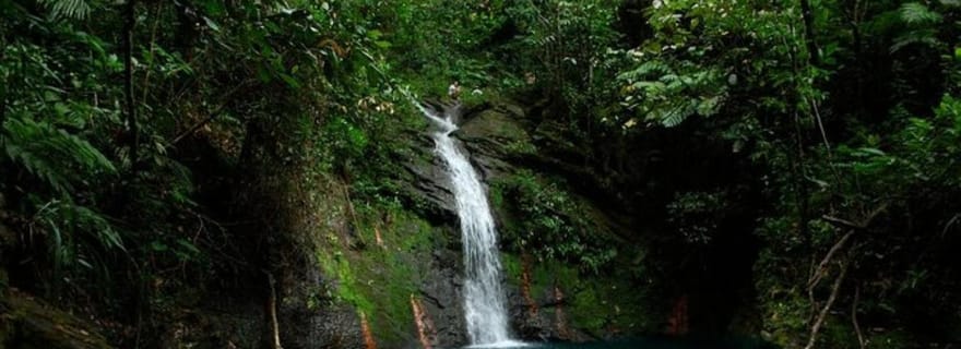 Placencia : Randonnée dans le bassin de Cockscomb et descente de rivière
