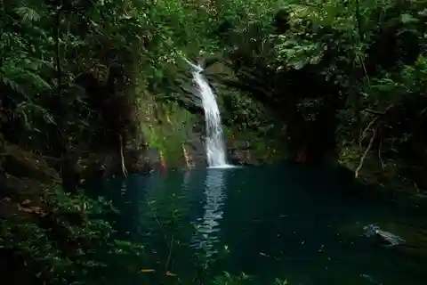 Placencia: Escursioni nel bacino di Cockscomb e Rivertubing