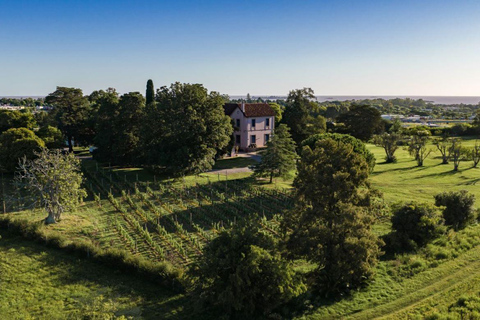 Colonia del Sacramento: Visit Las Liebres Vineyard and Organic Garden VISIT TO LAS LIEBRES VINEYARDS