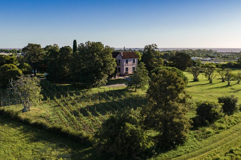 Colonia del Sacramento: Visit Las Liebres Vineyard and Organic Garden VISIT TO LAS LIEBRES VINEYARDS