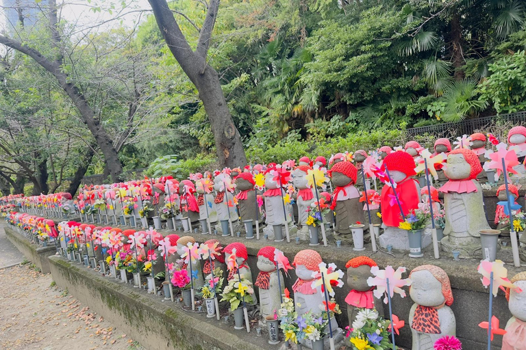 Tokyo One Day Customizable Trip With English speaking Driver