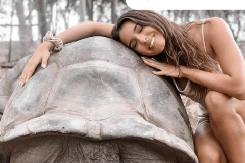 Zanzibar: Stone Town Tour &Prison Island & Nakupenda beach TOUR WITHOUT TRANFER