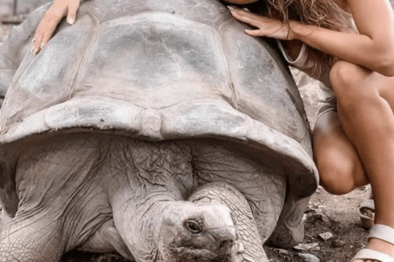 Zanzibar: Stone Town Tour &Prison Island & Nakupenda beach TOUR WITHOUT TRANFER